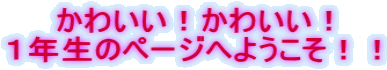 킢I킢I PÑy[Wւ悤II