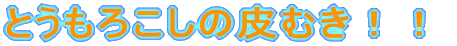 QNƗV񂾂II