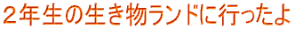 wZ񂯂