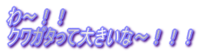 `II NK^đ傫ȁ`III